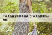 广州竞价托管公司有哪些（广州竞价需要什么条件）