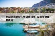 罗湖sem竞价托管公司排名  深圳罗湖托管机构