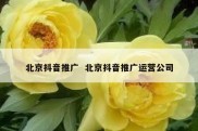 北京抖音推广  北京抖音推广运营公司