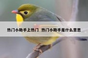 热门小助手上热门  热门小助手是什么意思