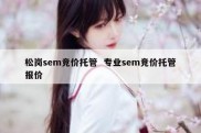 松岗sem竞价托管  专业sem竞价托管报价