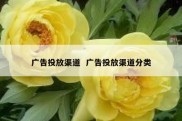 广告投放渠道  广告投放渠道分类