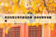 竞价托管公司不保证效果  竞价托管外包服务