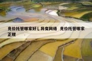 竞价托管哪家好乚异变网络  竞价托管哪家正规