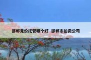 邯郸竞价托管哪个好  邯郸市拍卖公司