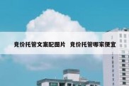 竞价托管文案配图片  竞价托管哪家便宜