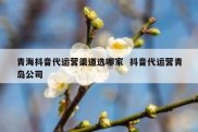 青海抖音代运营渠道选哪家  抖音代运营青岛公司