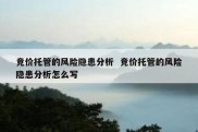 竞价托管的风险隐患分析  竞价托管的风险隐患分析怎么写