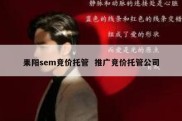 耒阳sem竞价托管  推广竞价托管公司
