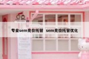 专业sem竞价托管  sem竞价托管优化