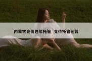 内蒙古竞价包年托管  竞价托管运营