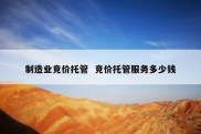 制造业竞价托管  竞价托管服务多少钱