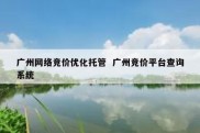 广州网络竞价优化托管  广州竞价平台查询系统
