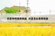 抖音如何变现收益  抖音怎么变现收益