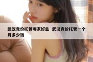 武汉竞价托管哪家好些  武汉竞价托管一个月多少钱