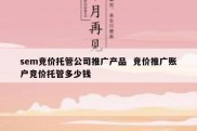 sem竞价托管公司推广产品  竞价推广账户竞价托管多少钱