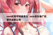 sem托管可找微竞价  sem竞价推广托管代运营公司