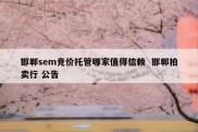 邯郸sem竞价托管哪家值得信赖  邯郸拍卖行 公告