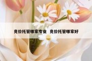 竞价托管哪家专业  竞价托管哪家好
