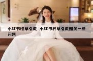 小红书种草引流  小红书种草引流相关一些问题
