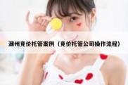 潮州竞价托管案例（竞价托管公司操作流程）