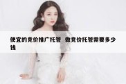 便宜的竞价推广托管  做竞价托管需要多少钱