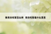 做竞价托管怎么样  竞价托管是什么意思