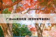 广汉sem竞价托管（竞价托管专业团队）