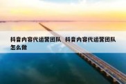 抖音内容代运营团队  抖音内容代运营团队怎么做