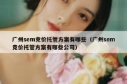 广州sem竞价托管方案有哪些（广州sem竞价托管方案有哪些公司）