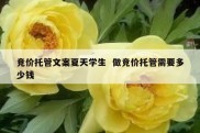 竞价托管文案夏天学生  做竞价托管需要多少钱