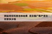网站竞价托管怎样收费  竞价推广账户竞价托管多少钱