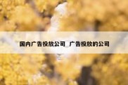 国内广告投放公司  广告投放的公司