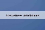 合作竞价托管企业  竞价托管外包服务