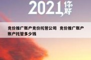 竞价推广账户竞价托管公司  竞价推广账户账户托管多少钱
