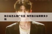 独立站怎么推广引流  海外独立站需要多少钱