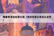 哪里有竞价托管公司（竞价托管公司怎么合作）