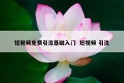短视频免费引流基础入门  短视频 引流
