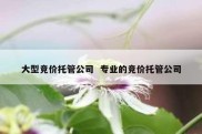 大型竞价托管公司  专业的竞价托管公司