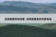 沧州百度竞价托管  沧州百度竞价托管电话