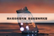 四川竞价托管代理  竞价托管如何托管