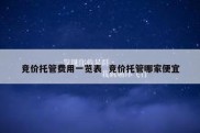 竞价托管费用一览表  竞价托管哪家便宜