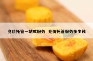 竞价托管一站式服务  竞价托管服务多少钱