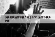 沙县餐饮加盟项目介绍怎么写  加盟沙县多少钱