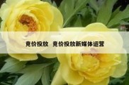 竞价投放  竞价投放新媒体运营