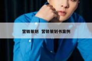 营销策划  营销策划书案例