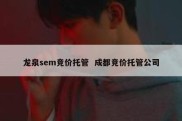 龙泉sem竞价托管  成都竞价托管公司