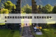 东莞长安竞价托管代运营  东莞长安托管中心