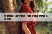 搜索竞价托管费用低  搜索竞价托管费用低的原因