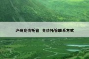 泸州竞价托管  竞价托管联系方式